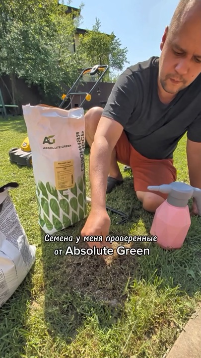 Подсев проплешин на газоне